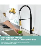 Flynama Single Handle Deck Mount Pull Down Sprayer Kitchen Faucet