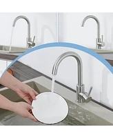 Flynama Single Handle Surface-Mounted Kitchen Faucet