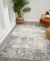 Amer Rugs Clifton CLF4 5'x8' Area Rug