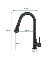 Flynama Single Handle Surface-Mounted Pull Out Sprayer Kitchen Faucet