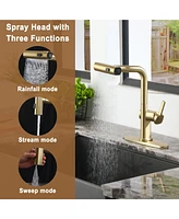 Mondawe 360° Swivel Single Handle Pull Out Sprayer Kitchen Faucet