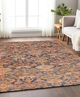Addison Chantille Machine Washable ACN1084 10'x14' Area Rug