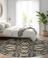 Addison Chantille Machine Washable ACN1149 8'x8' Round Area Rug
