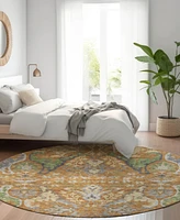 Addison Chantille Machine Washable ACN1153 8'x8' Round Area Rug