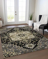 Addison Chantille Machine Washable ACN1036 10'x14' Area Rug