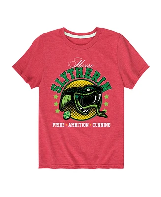 Hybrid Big Boys Harry Potter Slytherin Graphic Tee