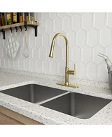 Casainc 1.8 Gpm Single-Handle Pull-Down Kitchen Faucet Single Hole