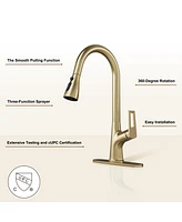 Casainc Single-Handle Pull-Down Sprayer Kitchen Faucet with Digital Display