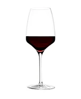 Stolzle Lausitz Experience Wine Glasses