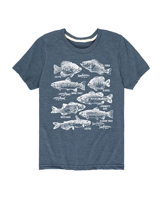 Hybrid Big Boys Types Of Fish Graphic Tee