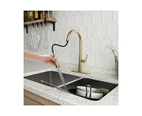 Casainc Pull Down Kitchen Faucet with Deck Plate