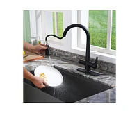 Casainc 1.8 Gpm Pull Down Kitchen Faucet with Deck Plate and Digital Display