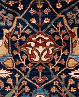 Adorn Hand Woven Rugs Serapi M1999 9'x11'10" Area Rug