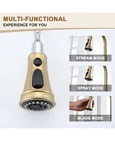 Casainc 1.8 Gpm Single-Handle Pull-Down Kitchen Faucet Single Hole