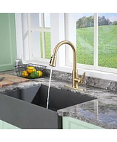 Casainc Single-Handle Pull-Down Kitchen Faucet Single Hole