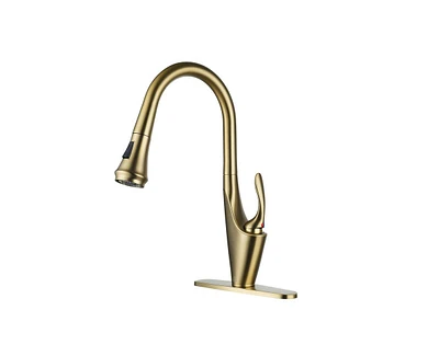 Casainc 1.8 Gpm Pull Down Kitchen Faucet with Deck Plate