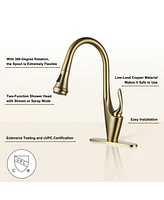 Casainc 1.8 Gpm Pull Down Kitchen Faucet with Deck Plate