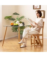 Gouun Multifunctional 3-in-1 Ladder Chair Display Plant Stand for Library Kitchen Office