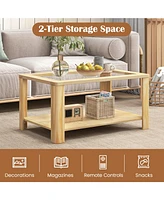 Gouun 2-Tier Table Rectangular Center Table with Tempered Glass Tabletop and Storage Shelf