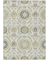 Addison Chantille Machine Washable ACN751 9'x12' Area Rug
