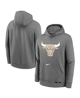 Nike Big Boys and Girls Steel Chicago Bulls 2024/25 City Edition Club Fleece Pullover Hoodie