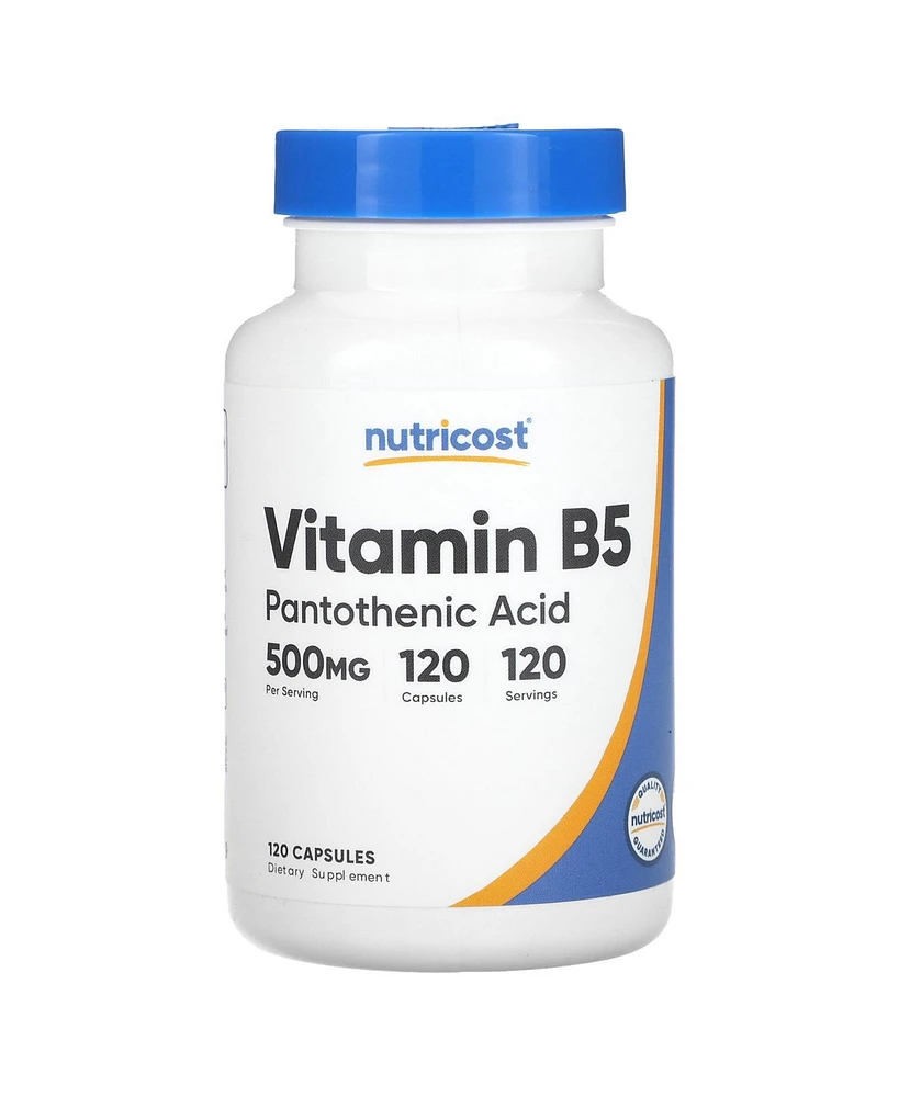 Nutricost Vitamin B5 500 mg