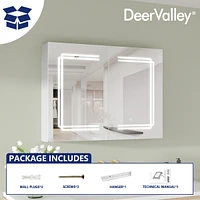 DeerValley Rectangular 31" W Double Doors Alumium Lighted Bathroom Mirros