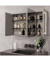 DeerValley 39'' W x 24'' H Led Lights Medicine Cabinets With Mirrors , Defogger, Dimmer, Bluetooth Speaker