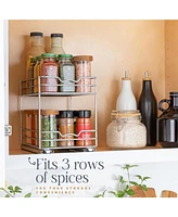 Florida Brands Pull Out Cabinet Organizer for Spices, Cans 2 Tier