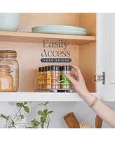 Florida Brands Pull Out Cabinet Organizer for Spices