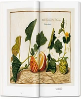 A Garden Eden