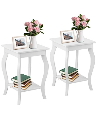 Gouun Set of 2 Accent Side Tables with Shelf