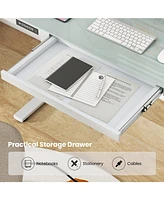 Gouun 48-Inch Height Adjustable Electric Standing Desk with Drawer