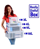 Really Useful Box 4L Storage Container with Lid and Clip Lock Handles, (10 Pack)