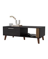 Fm Furniture Govan Coffee Table with a Door, Conical Legs, and Open Storage, Wengue