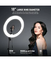 Neewer Ring Light 18inch Kit: 55W 5600K Professional Led with Stand and Phone Holder, Soft Tube & Bag for Tattoo Lash Extension Barber Makeup Artist S