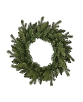 Seasonal 24" Palmetto Pine Wreath, 50 Dual Led Lights