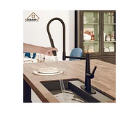 Casainc Spring Neck Standard Kitchen Faucet with Dual-Function spray head and Deck Plate