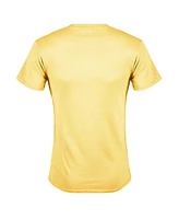 Batman Classic Tv Men's Boy Wonder Short Sleeve Adult Tee / T-Shirt