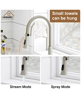 Casainc Spring Neck Standard Kitchen Faucet with Dual-Function spray head and Deck Plate