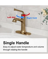 Casainc Single Hole Faucet Single-handle Bathroom with Drain Assembly