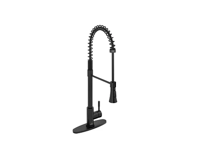 Casainc Spring Pull Down Sprayer Kitchen Faucet with Dual-Function Spray Head and Deck Plate