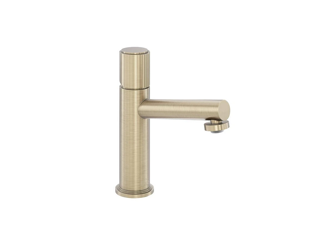 Casainc Bathroom Vessel Sink Faucet with Pop-Up Drain in Spot-Resistant