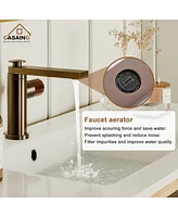 Casainc Single Hole Bathroom Vessel Sink Faucet with Pop-Up Drain in Spot-Resistant