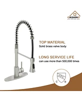 Casainc Spring Standard Kitchen Faucet with Dual-Function Spray Head and Deck Plate