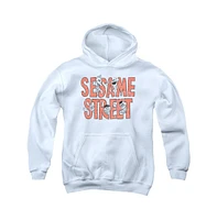 Sesame Street Boys Youth Letters Pull Over Hoodie