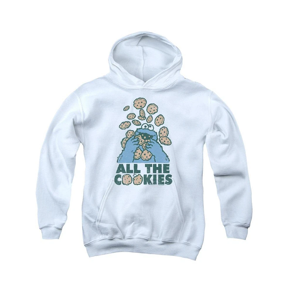 Sesame Street Boys Youth All The Cookies Pull Over Hoodie