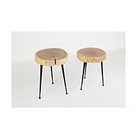 Jofran Global Archive Flat-Pack Wood and Iron Accent Tables (Set of 2)