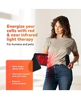 LifePro Red Light Therapy Belt – Near Infrared & Red Light Therapy for Muscle Relaxation, Inflammation, & Circulation