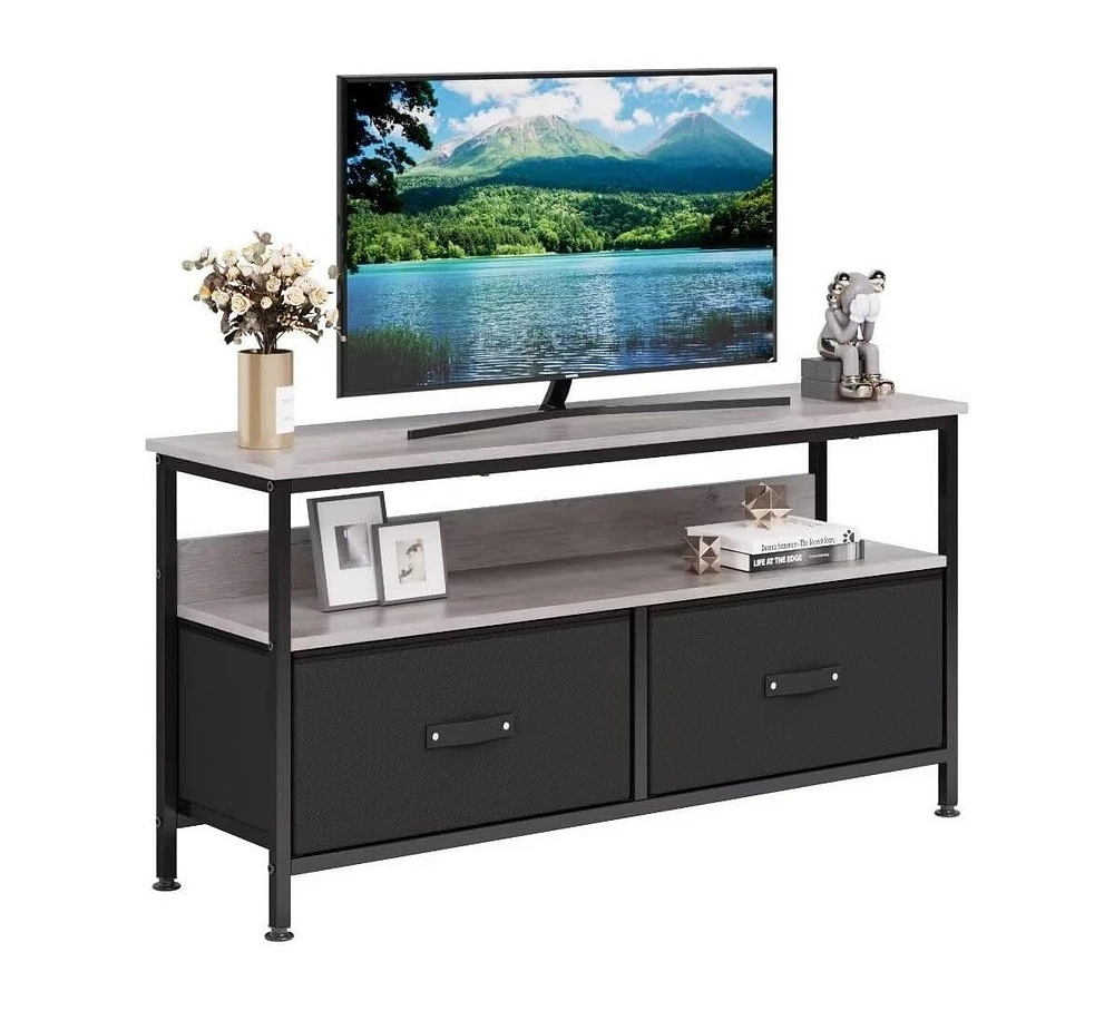 gaomon Dresser Tv Stand for Bedroom,TV Console with Drawers, 2 Drawers Entertainment Center with Open Shelf, Media Console for 50 Inch TV